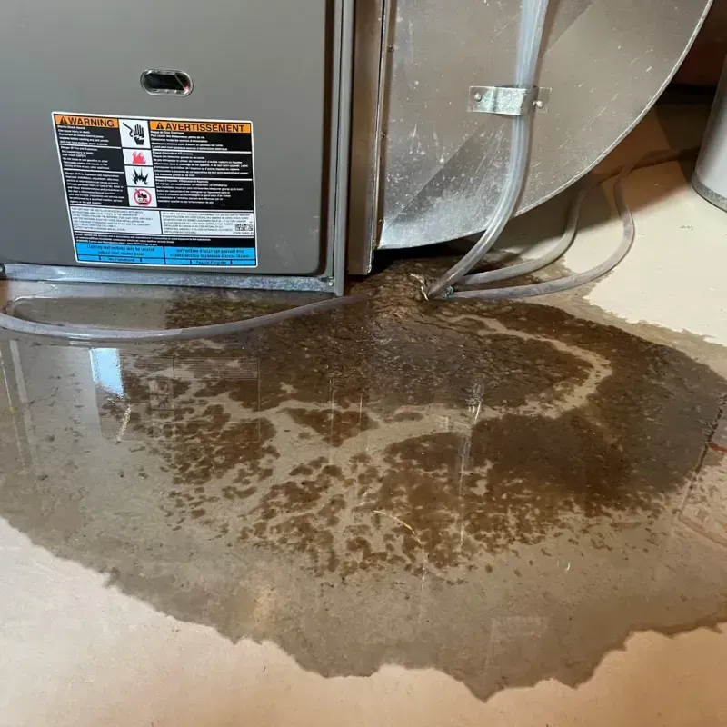 Appliance Leak Cleanup in Pershing County, NV